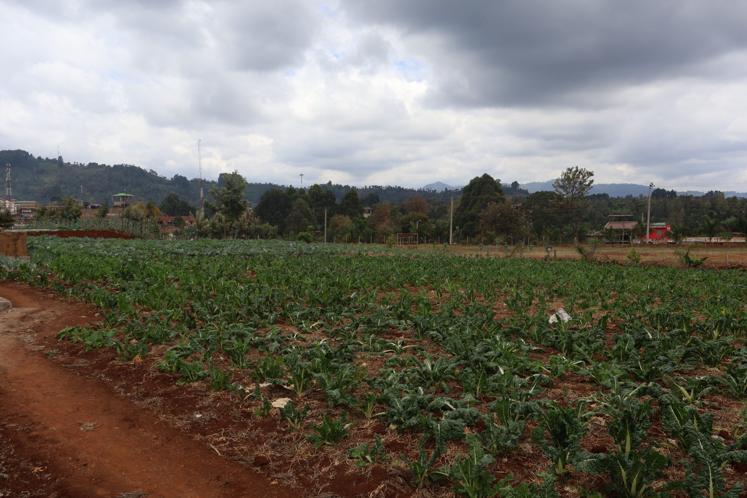 farm7